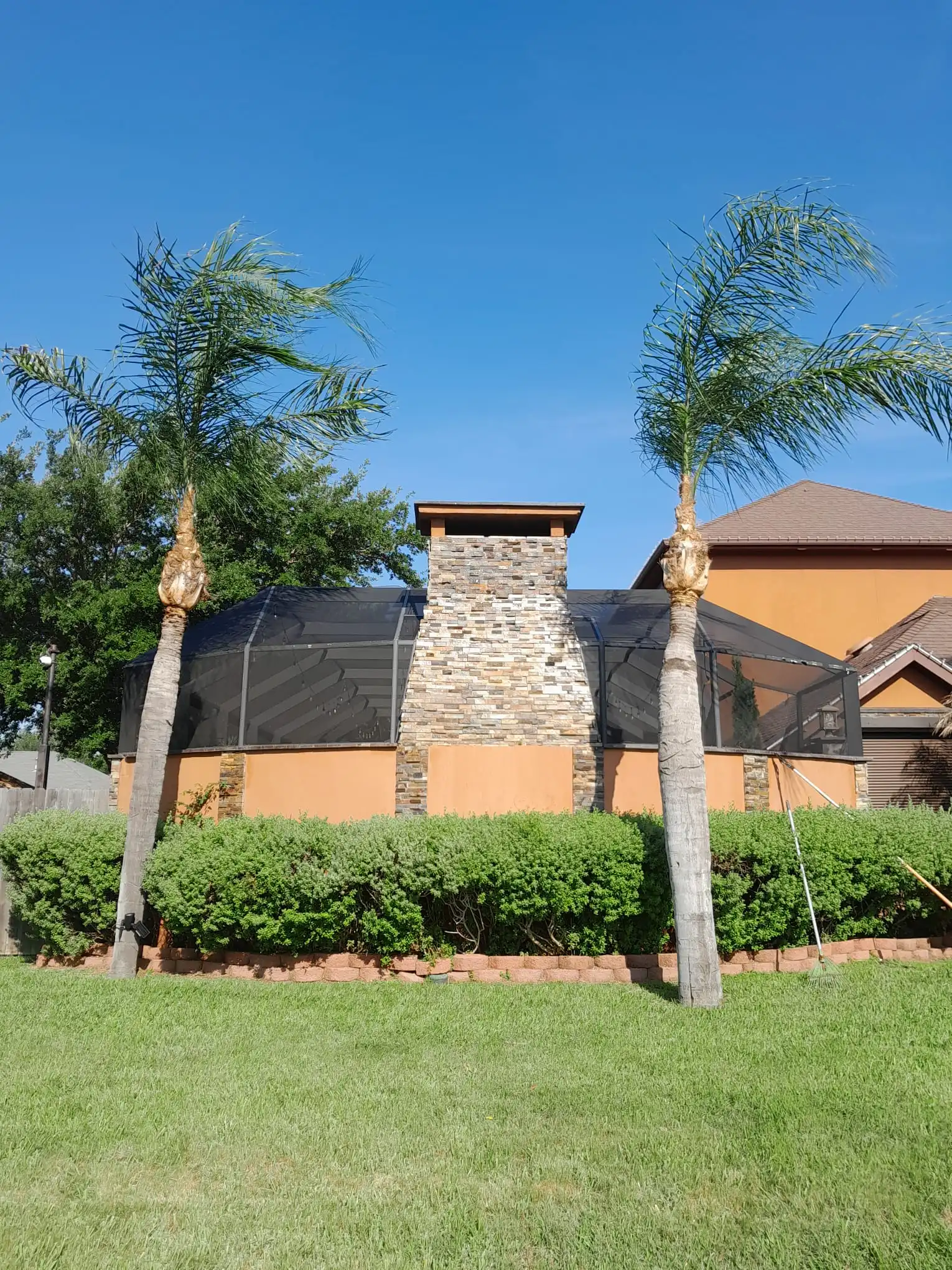 After Our Magic - Palm Cleanup