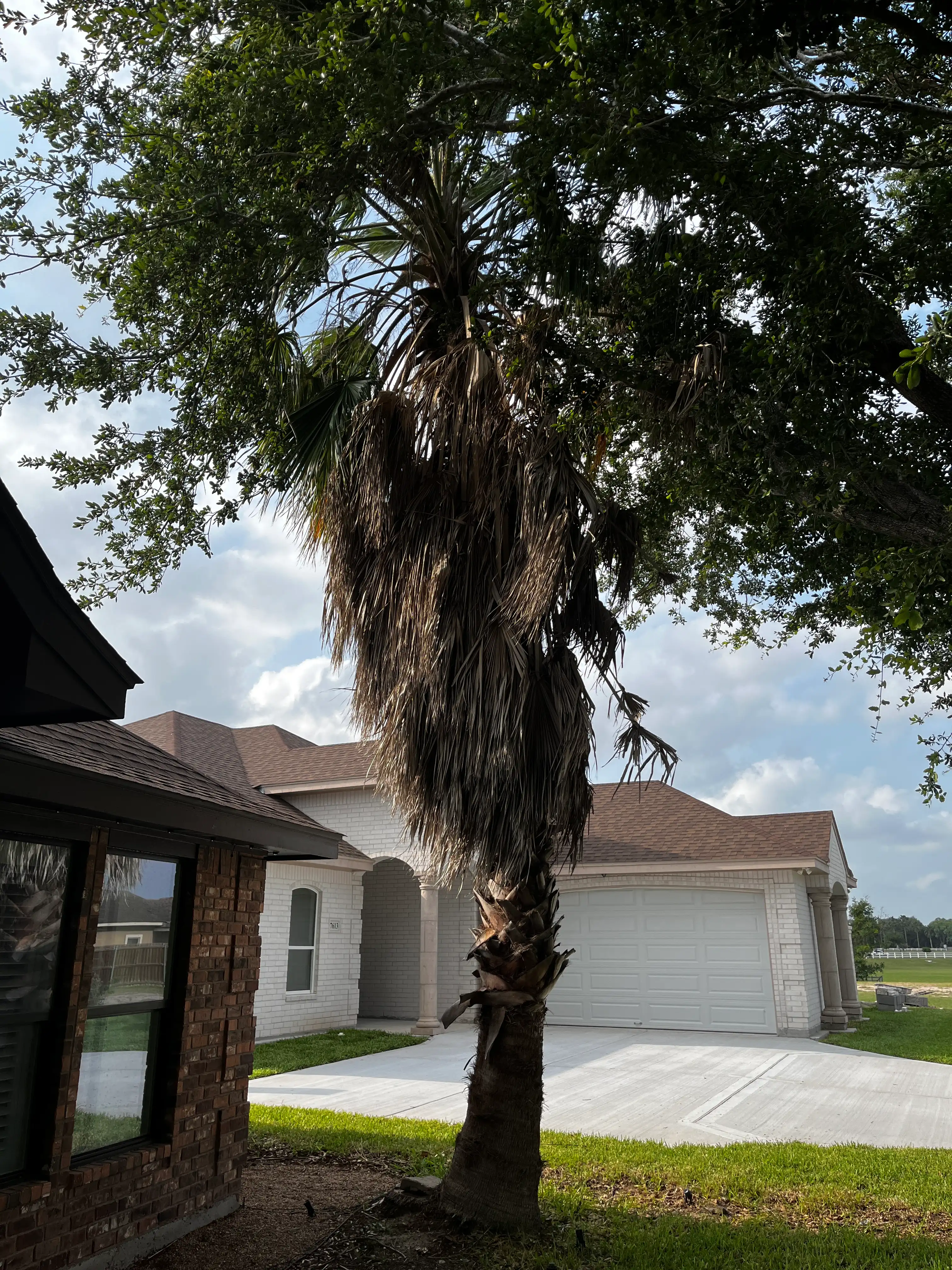 Before Our Service 2