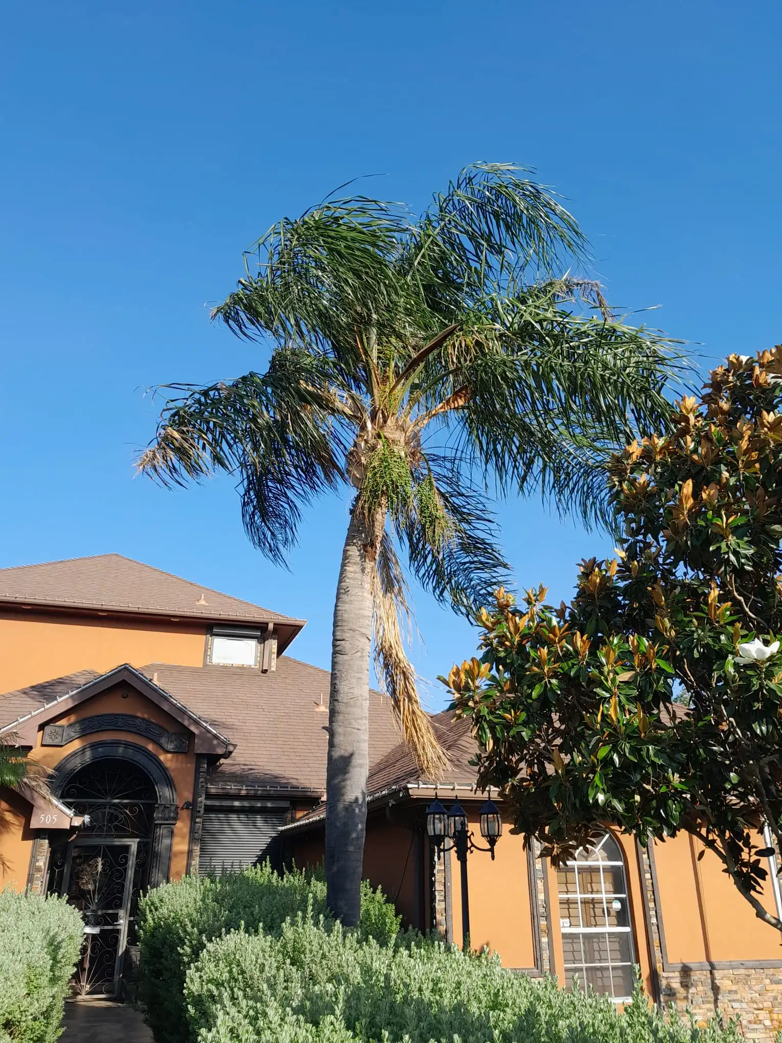 Before Our Service 1