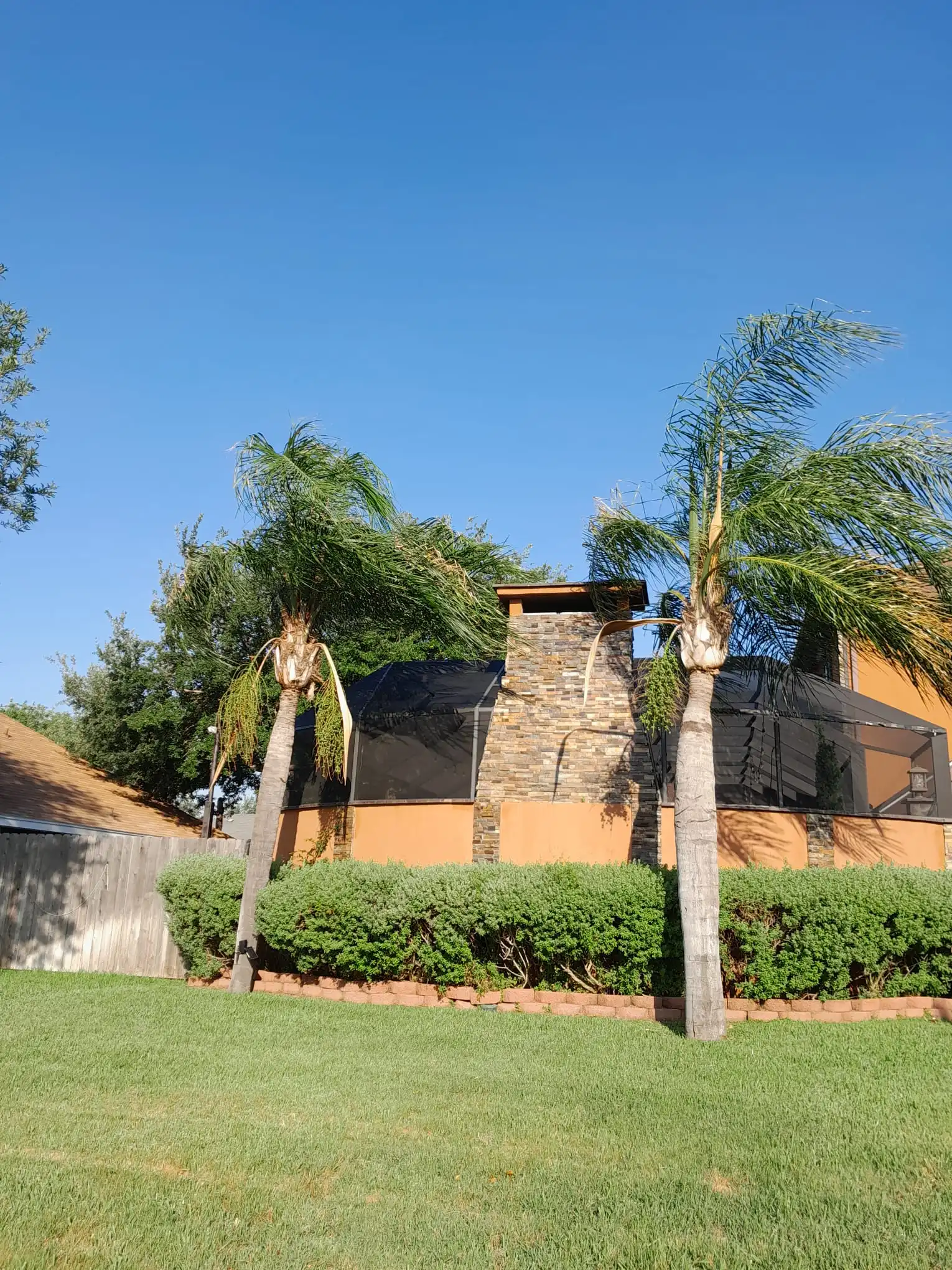 Before Our Service 2